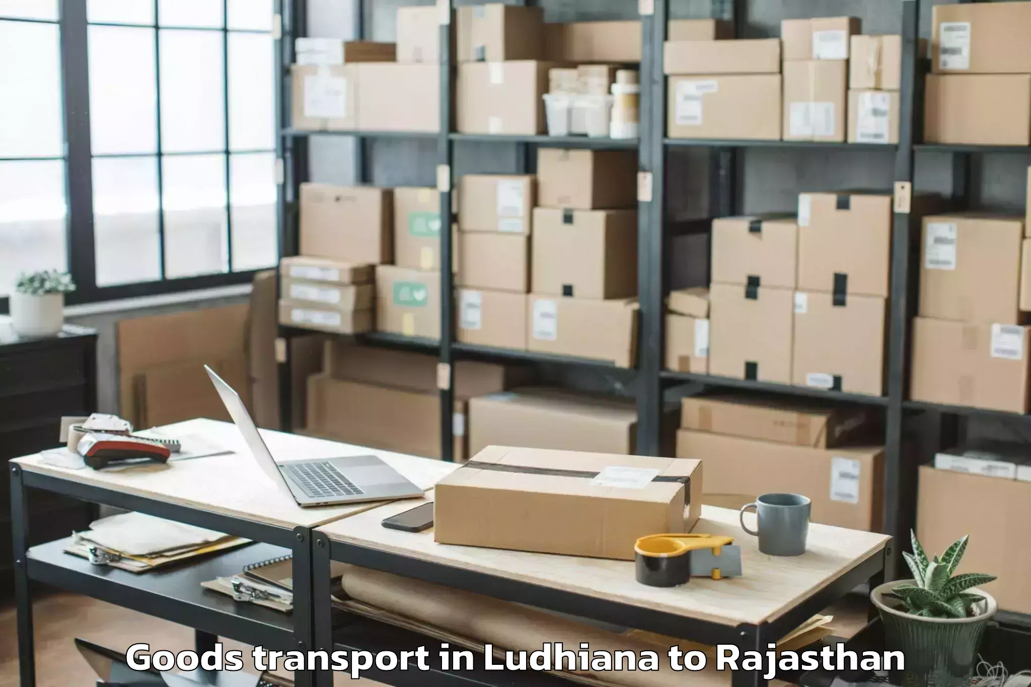 Affordable Ludhiana to Mewar University Chittorgarh Goods Transport